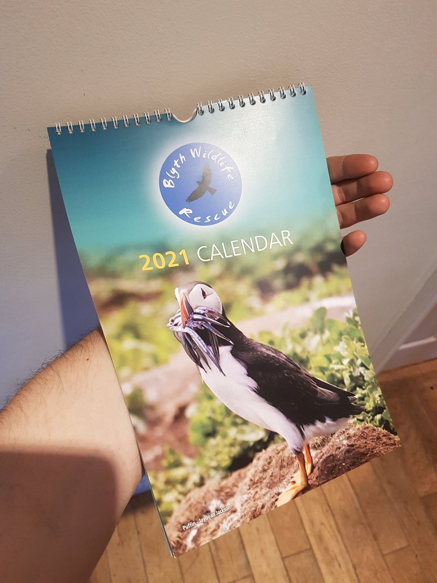 B_W_R's tweet photo. We still have our latest charity calendars available to buy online - and theres still time for local deliveries before Christmas! 
£8 each with 100% of the funds going directly to helping sick &amp; injured wildlife in Northumberland https://t.co/m1P5I8UMYL