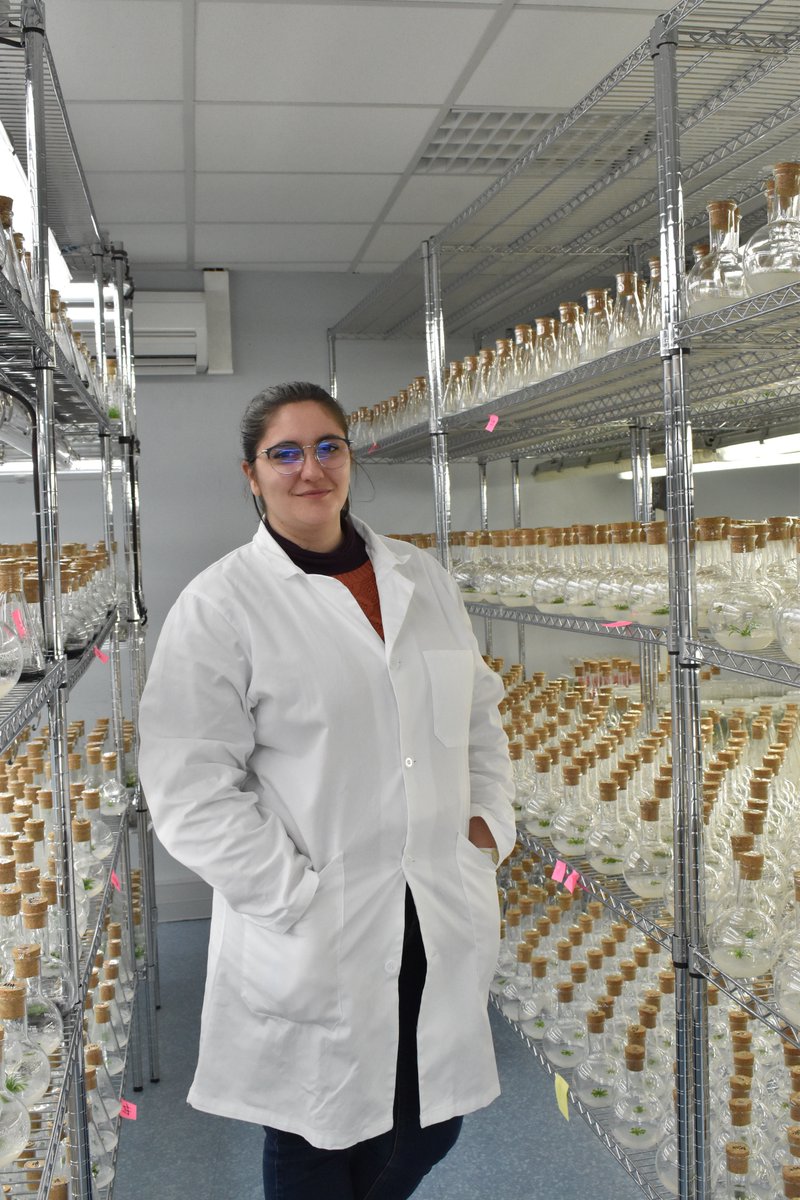 🌿Bienvenue dans la team des jeunes pousses !🌿
L'équipe #InPlanta est ravie d'accueillir un tout nouveau membre ! 😁
Edwige Grosbois nous rejoint en tant qu'adjointe de production ! #Limoges