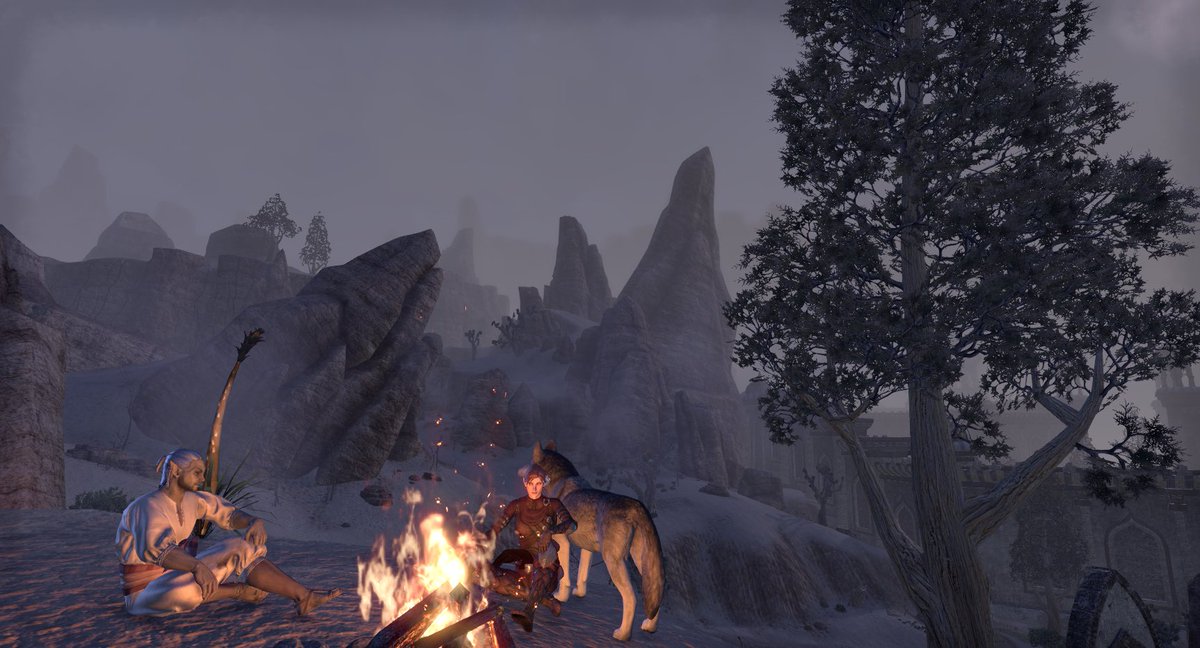 briarbyhart's tweet photo. Probably looking for #Ysmeira after she disappears.... #Quen #Quenneth #QuenImayn #Drelyth #DrelythImayn #ElamDrals #ESO #ESOFam https://t.co/HCYyvDxPvO