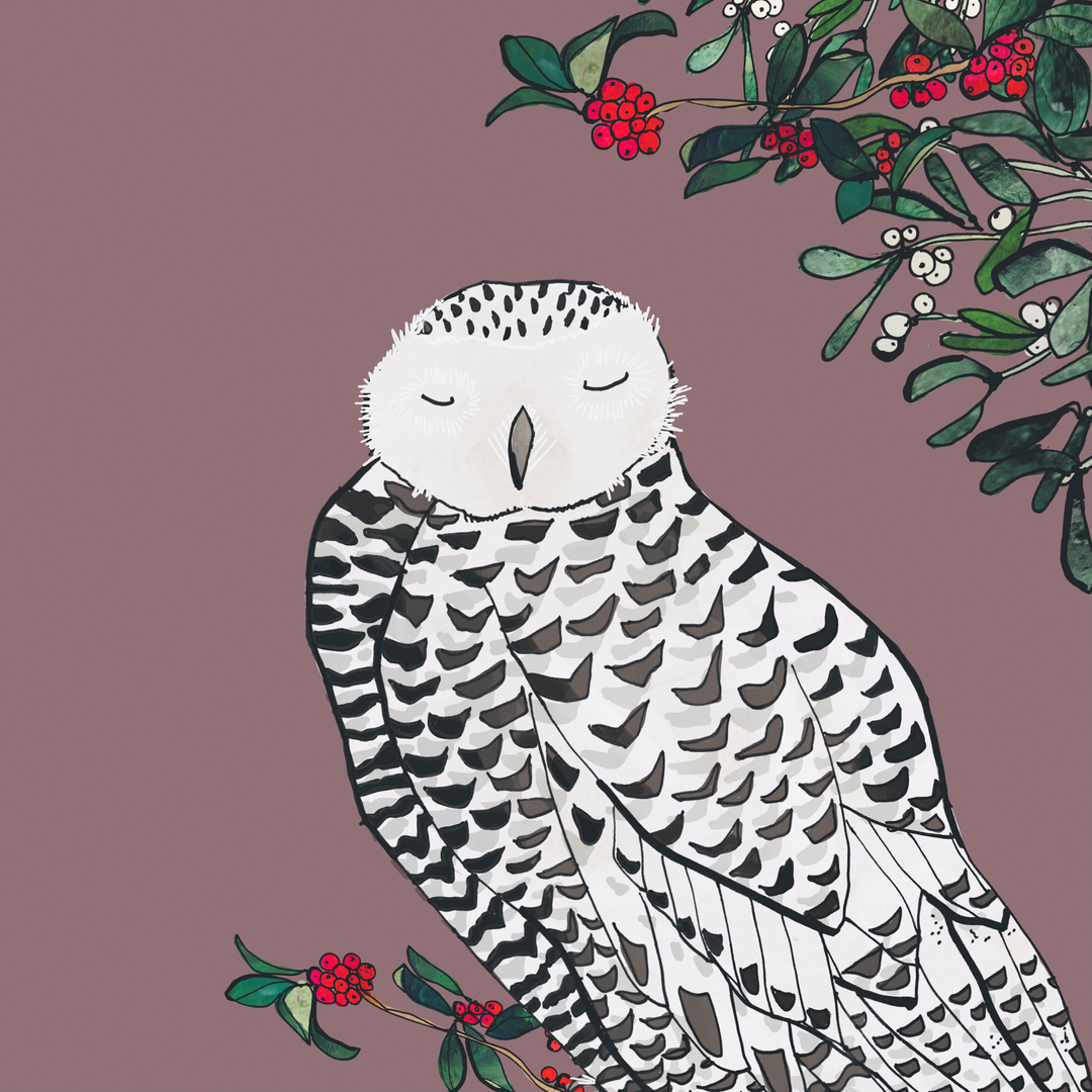 LAST MINUTE DASH? If you've been sleeping in a holly bush during the last shopping weekend of Christmas we have very good news! If you can collect from the studio before 4pm we are taking NEW ORDERS until 1pm today (excluding prints). We have last minute stocking fillers from bea