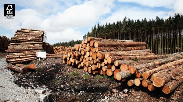 Here at Be Modern we are proud to say that we hold a Chain of Custody Certificate which verifies us an FSC® certified business and allows us to trace our timber all the way back to the plot from which it was felled.
#fsc #sustainability #environmentalresponsibility #csr