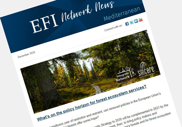 efimedfacility's tweet photo. ❄️🌲 On behalf of @efimedfacility we wish you happy holidays by sharing our December newsletter. This 2020 has been a very challenging year but at the same time with many #forest-related initiatives in the #Mediterranean! Take care & see you next year!
https://t.co/BGwe4bUspv https://t.co/u7aCpFDEpC