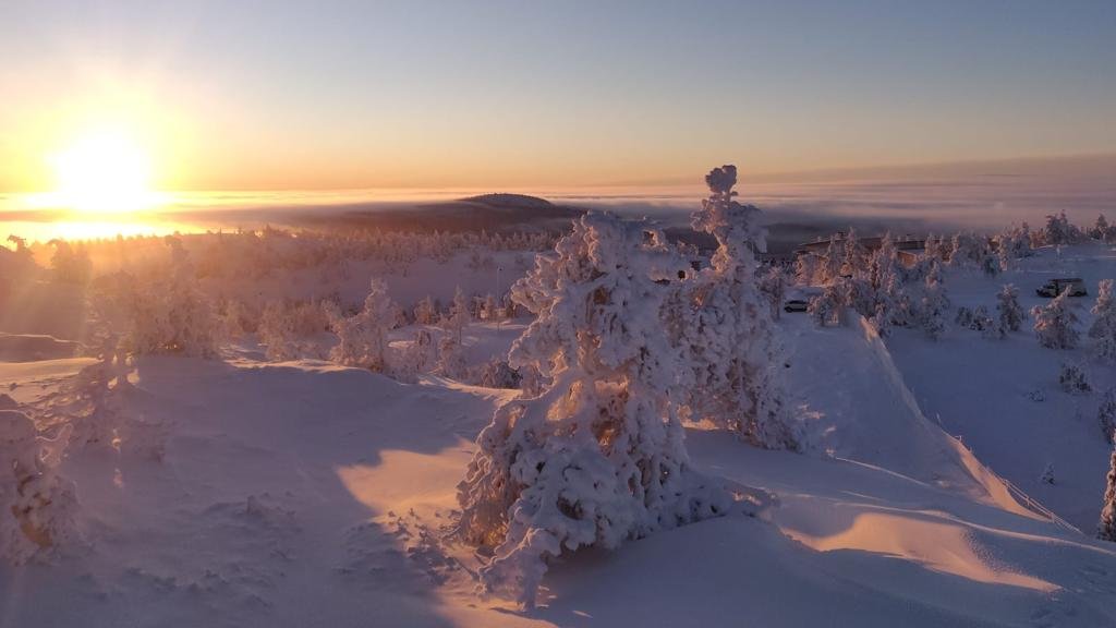 DiscoverFinland's tweet photo. If you enjoy the beauty of pristine natural landscapes, the snowy arctic wilderness of the Kuusamo-Ruka is the perfect destination: https://t.co/uEVijZqoxp Photos by @leinoa, @RukaNordic, @guyedwardes, and @JamoImages added to our Finnish Lapland gallery: https://t.co/SjhgRSwkVV https://t.co/KGNwqIqMiS