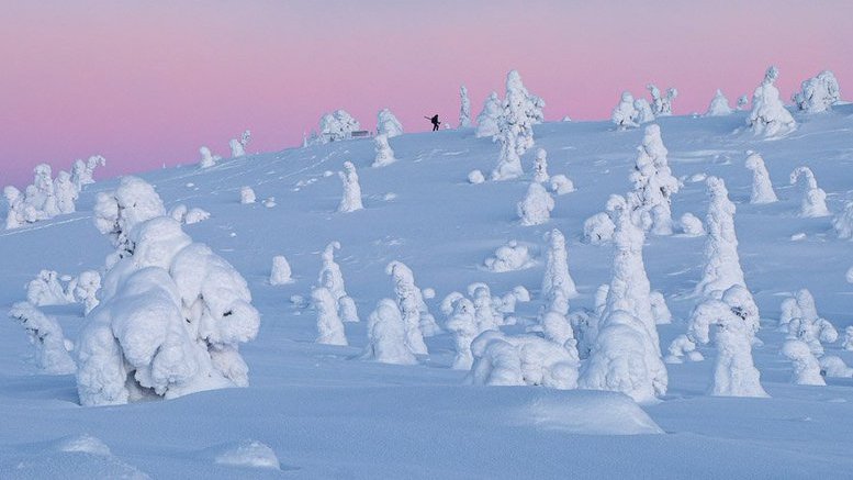 DiscoverFinland's tweet photo. If you enjoy the beauty of pristine natural landscapes, the snowy arctic wilderness of the Kuusamo-Ruka is the perfect destination: https://t.co/uEVijZqoxp Photos by @leinoa, @RukaNordic, @guyedwardes, and @JamoImages added to our Finnish Lapland gallery: https://t.co/SjhgRSwkVV https://t.co/KGNwqIqMiS