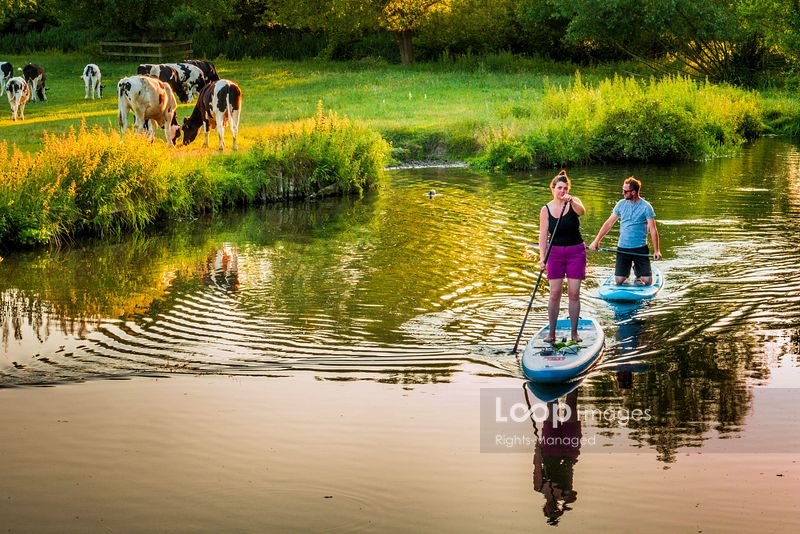LoopImages (@loopimages) on Twitter photo Paddle boarders on the river Stour at Flatford in Suffolk <a href="/BillAllsopp/">BillAllsopp</a> #suffolk #flatford #constable #summer #summertime #calm #stour #tranquil #paddle #board #leisure #countryside #relax #pastime #cattle #cows #dedham #goldenhour Paddle boarders on the river Stour at Flatford in Suffolk <a href="/BillAllsopp/">BillAllsopp</a> #suffolk #flatford #constable #summer #summertime #calm #stour #tranquil #paddle #board #leisure #countryside #relax #pastime #cattle #cows #dedham #goldenhour