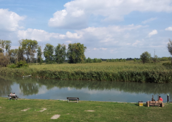 Approvata la Convenzione tra il Parco Regionale del Mincio e Regione Lombardia relativa al monitoraggio per il Deflusso Ecologico del Fiume Mincio bit.ly/37CU5en