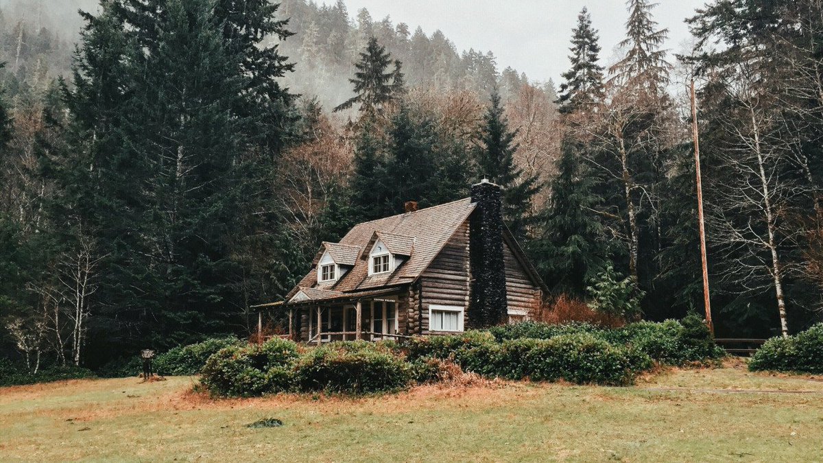 домик в лесу. тайга хижина лесника. друскининкай лес избушка. хижина в лесу база отдыха екатеринбург. дом хозяина леса.