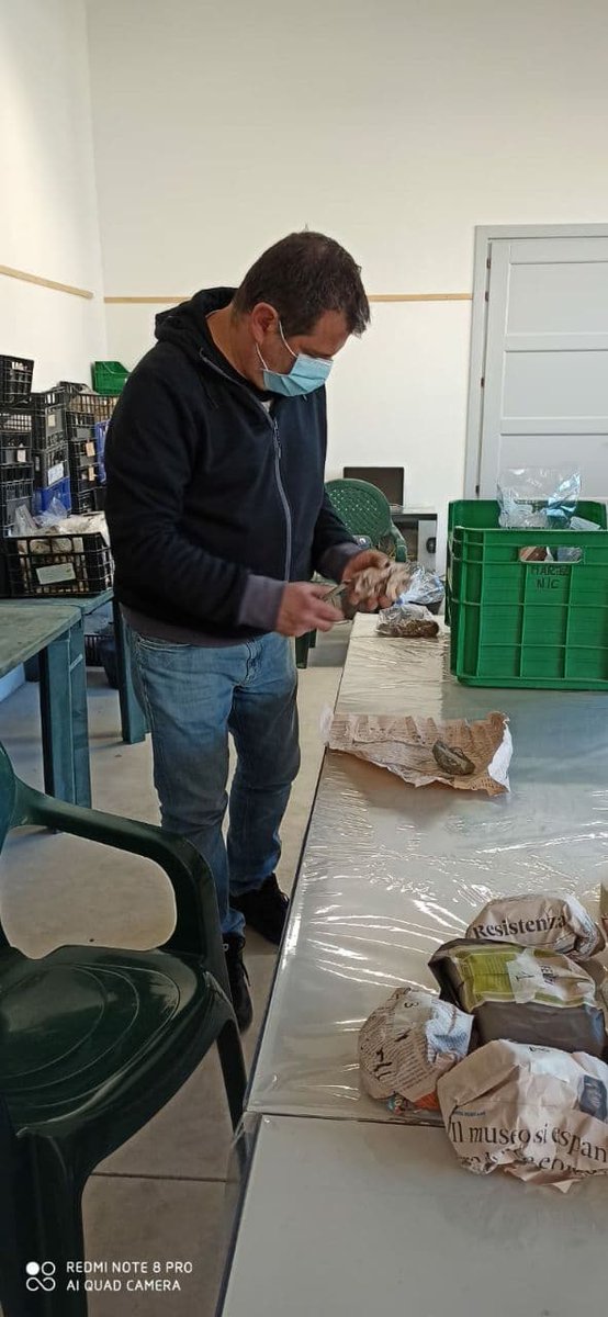 carboniamusei's tweet photo. Al #MuseoPAS è partita la fase due: il riordino dei #fossili del magazzino sulla base della tipologia, età 👴e sistematica generale, si procede poi con foto 📸e schedatura 🗄️!
#laculturanonsiferma #museichiusimuseiaperti #museichiusimanonfermi #SiMuC #Carbonia https://t.co/lrihdeKcHu