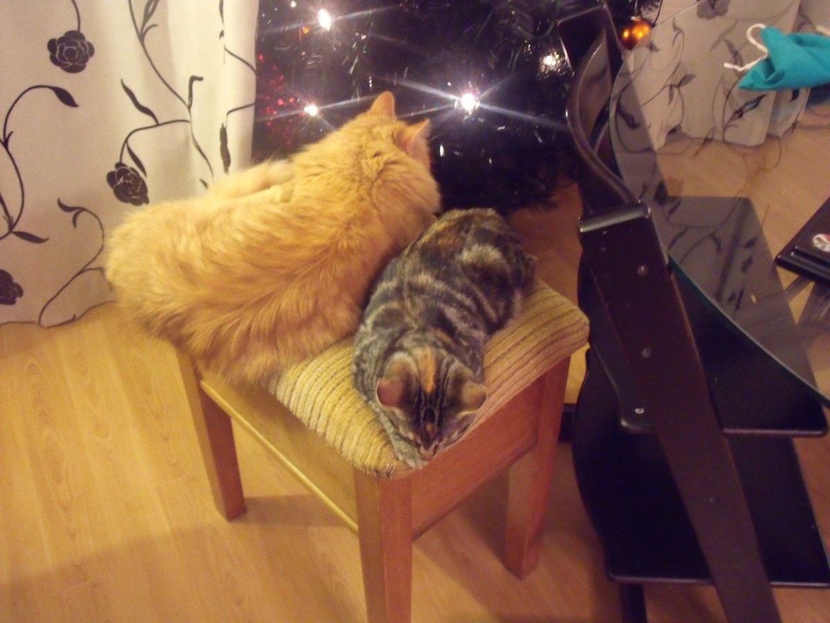 <a href="/People0UK/">Peopleofuk</a> This isn't a great one but shows her coat.