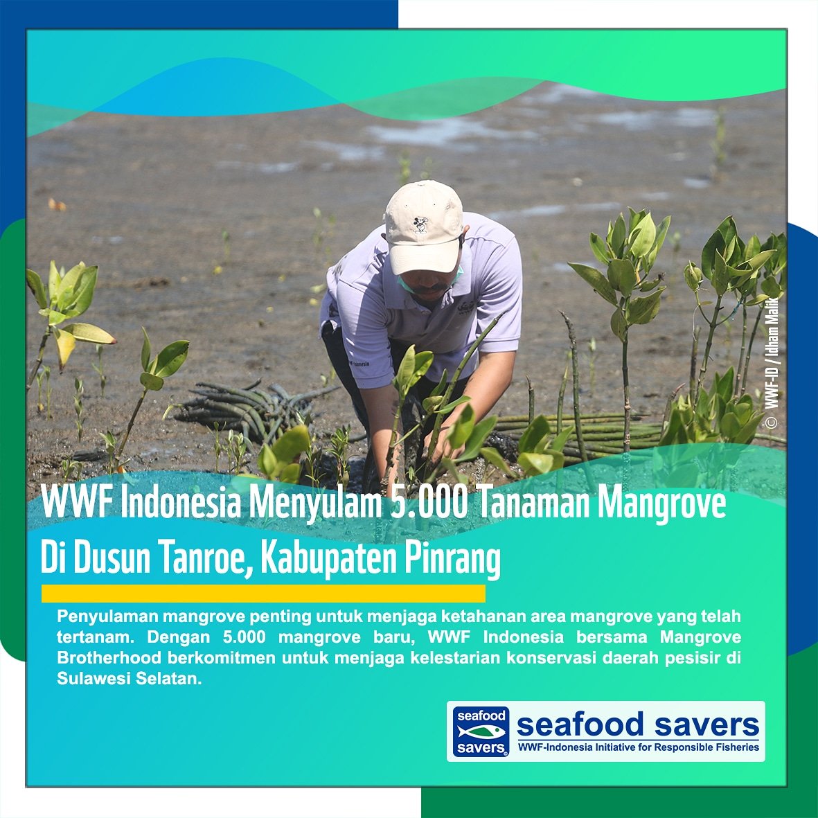 Sulitnya menjaga ketahanan mangrove tidak menjadi halangan bagi WWF Indonesia. Simak ceritanya di bit.ly/ID_5000Mangrove

For English version, visit bit.ly/EN_5000Mangrove