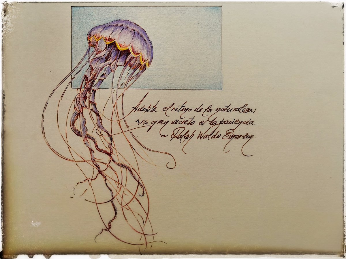 Sam´s Cafe & Cocktail Bar tweet media