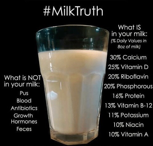 eGlobalNatural's tweet image. What’s in your milk.  buff.ly/2G2uOgG 
#diabetes #healthtips #health #nutrition