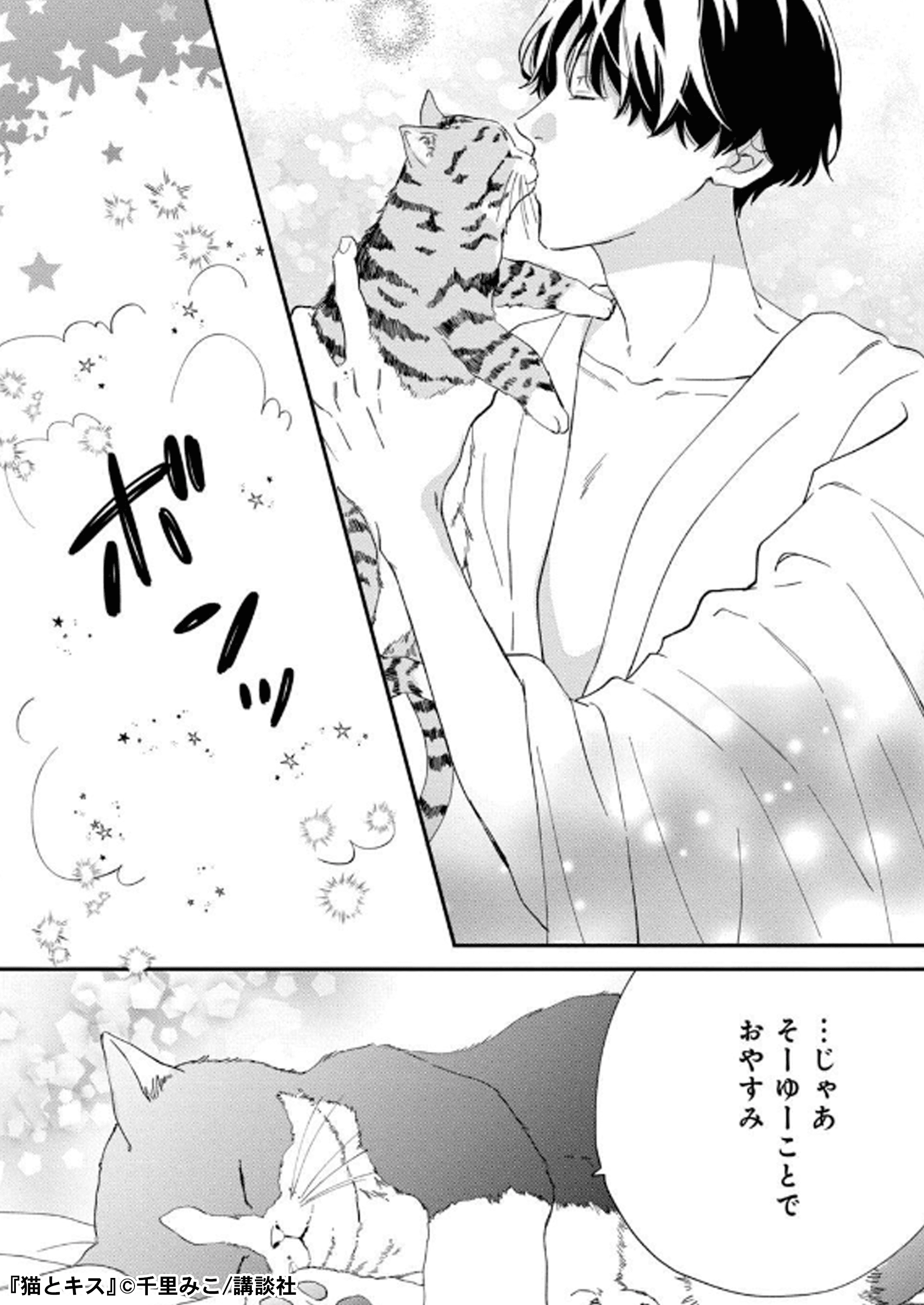 アクセスbooks 公式 猫科じゃなくて 猫化 男子の飼い主になっちゃった 猫とキス 千里みこ先生 Senri0424 試し読みはこちら T Co Cuqpwtohq8 少女漫画 Pr 別フレ 猫 T Co Phrvi3pnwt Twitter