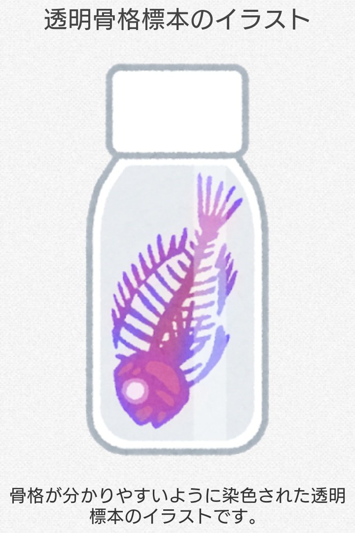 うえひろ いらすとやにまたまた面白そうな素材が追加されていてワクワクするな 魚のモデルは何だろう