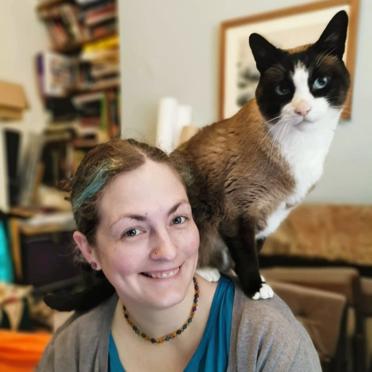 Kat_Shep_Photo's tweet photo. A picture of me instead of by me today, with my parrot cat & taken by my lovely husband. Trying to get a bit of editing done before I stop for Christmas but Dexter needs a cuddle 😂 #CatsOfTwitter #SnowshoeCat #ParrotCat #Selfie #TryingToWork #Lancashire #Darwen #Blackburn https://t.co/y202t3W4t7