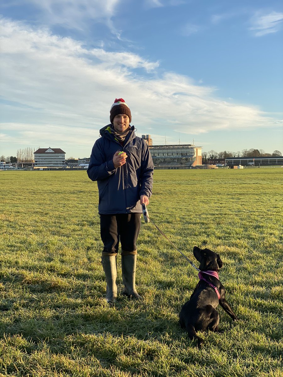 _laurapeacock's tweet photo. Lovely socially distanced dog walk around York racecourse this morning with @JB_Stonewater &amp; Rosie #healthandwellbeing #walkandtalk #doingthingsdifferently #tier2 #spotmydog #whereslouis 🤔 🐕 https://t.co/gP5fCdtY2J