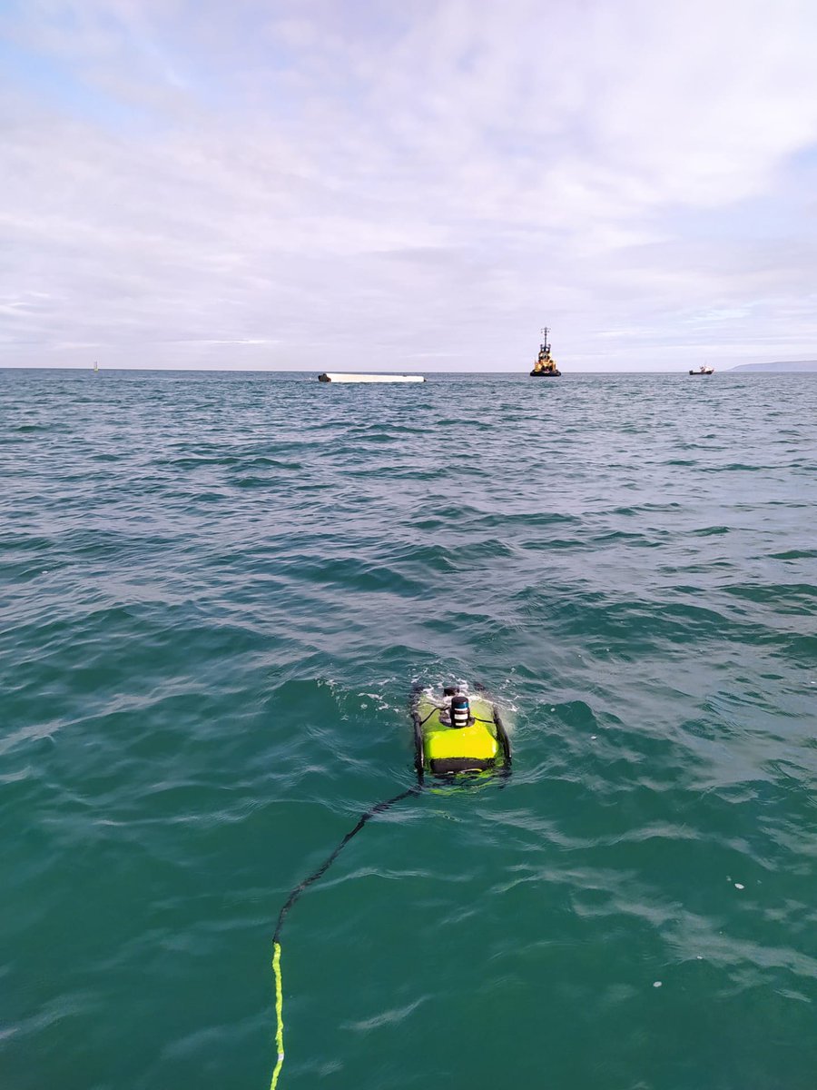 Wese Project tweet media