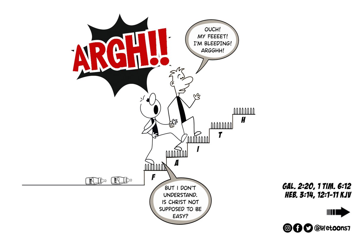 Lifetoons tweet media