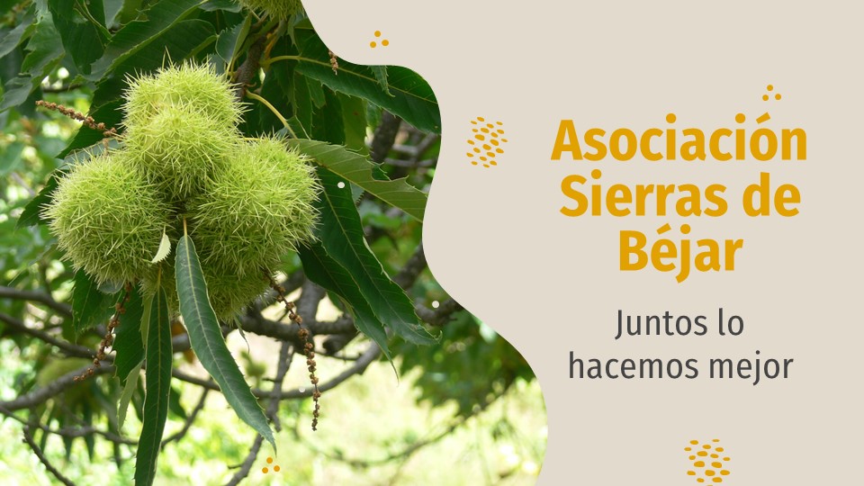 No estamos parados... estamos preparándonos para cuándo se pueda... Creamos #comarca #territorio #SierrasdeBéjar #EstaciónBéjarVerde  💪 #JuntosloHacemosMejor

drive.google.com/file/d/1GHx-pN…