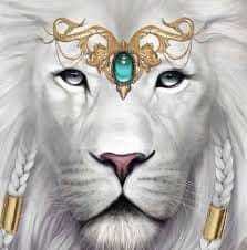 sabine ♡☆♡☆♡ tweet media