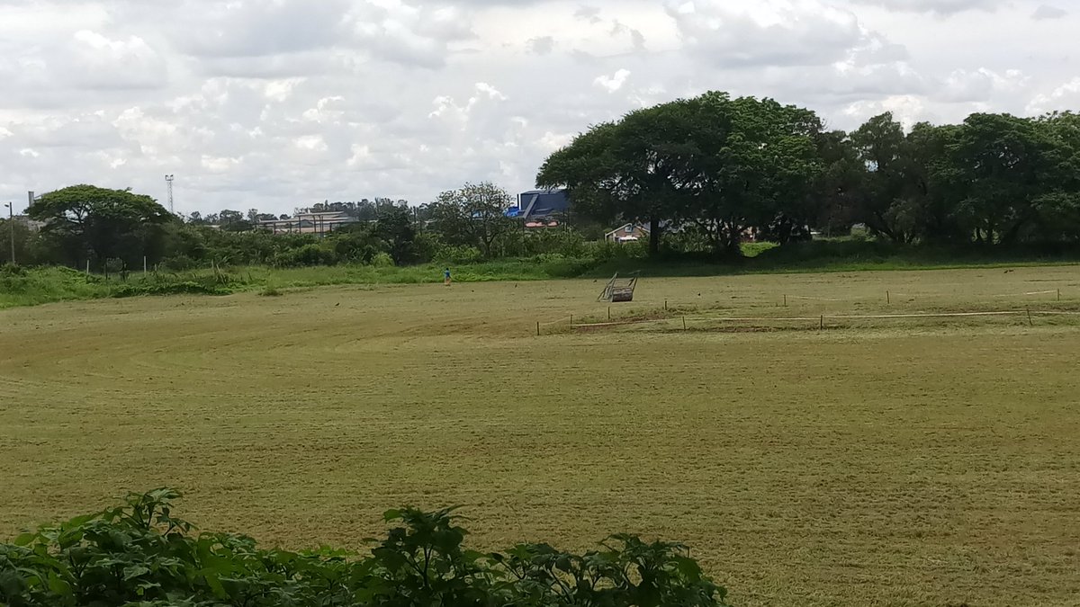 Gweru Sports Club tweet media