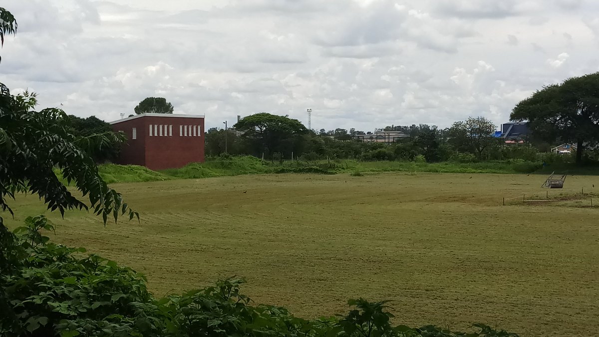 Gweru Sports Club tweet media