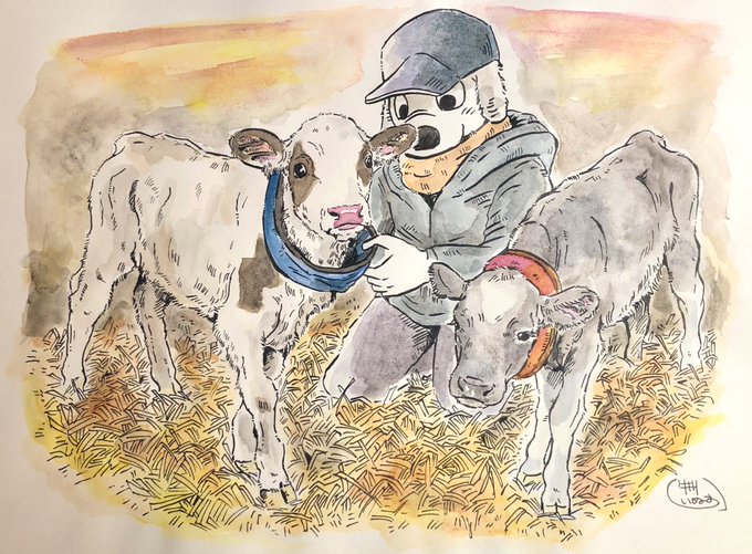 ネックウォーマー 