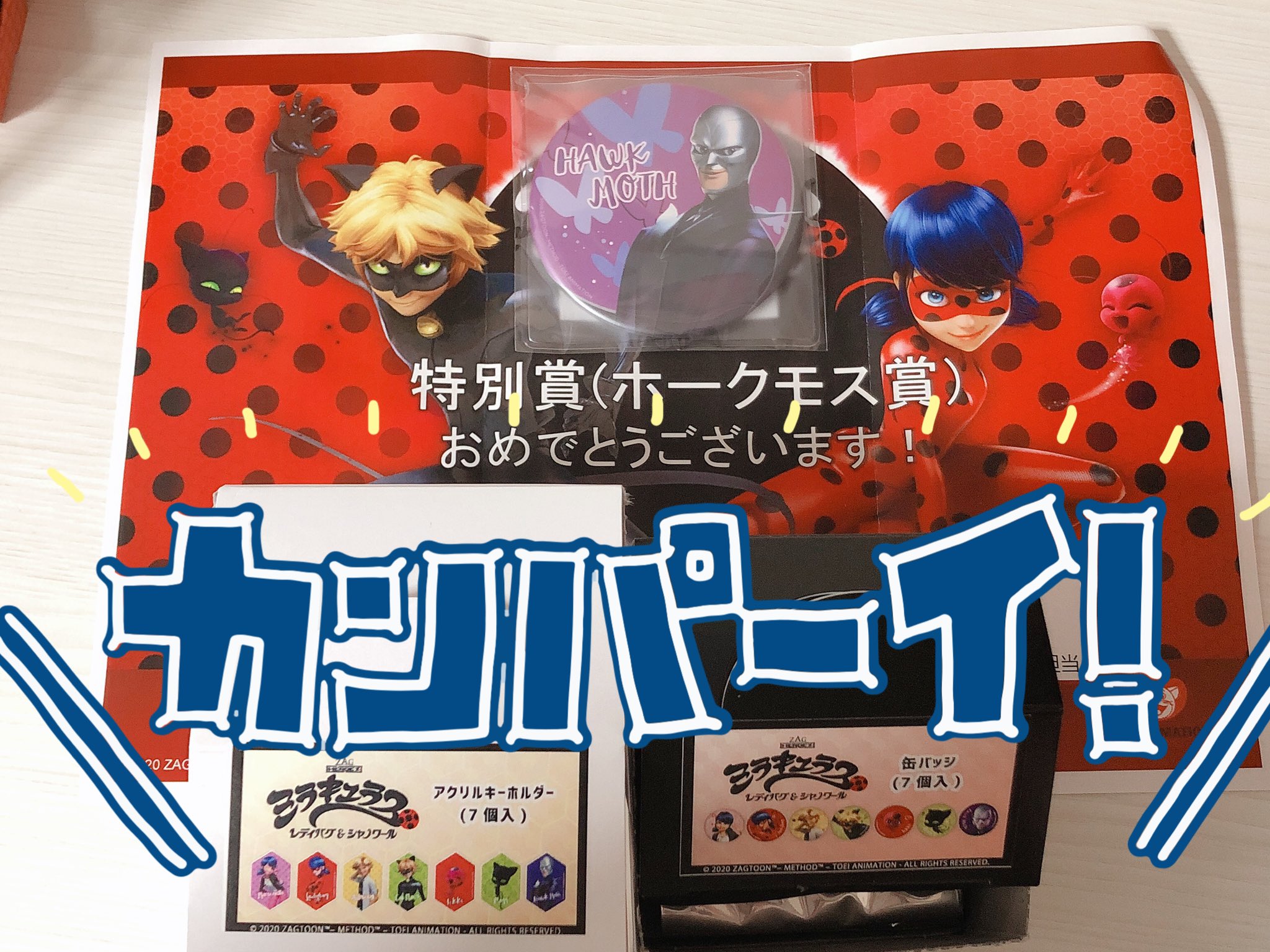 ミラキュラス　レディバグ&シャノワール　缶ミラー　楽天コレクション　E賞 シャノワール 缶ミラー 「楽天コレクション ミラキュラス