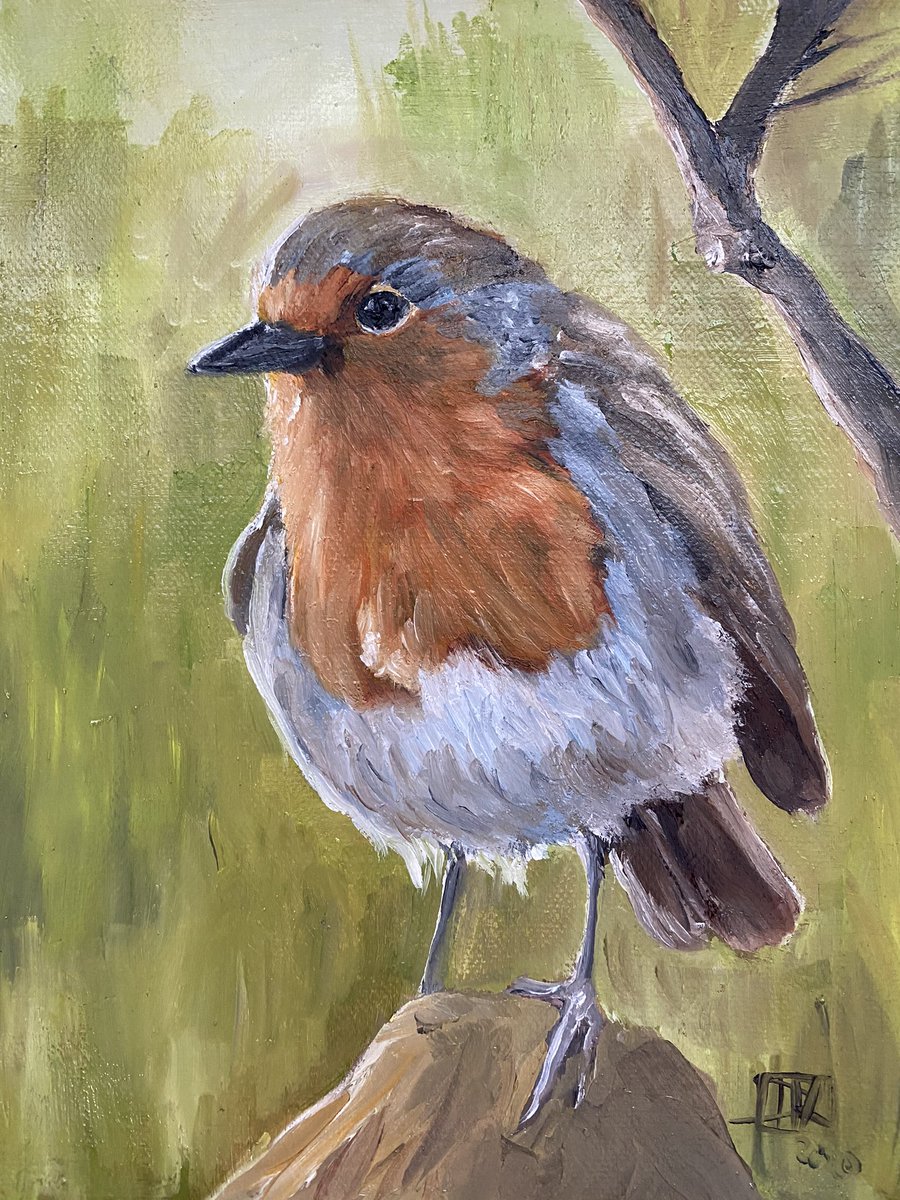 DarrenRichArt's tweet photo. Happy #NationalRobinDay these are always the first birds I draw and paint - the left is my first ever oil painting and the right my first hybrid - pencils then digital painting 😀 https://t.co/kik8eXdsY9