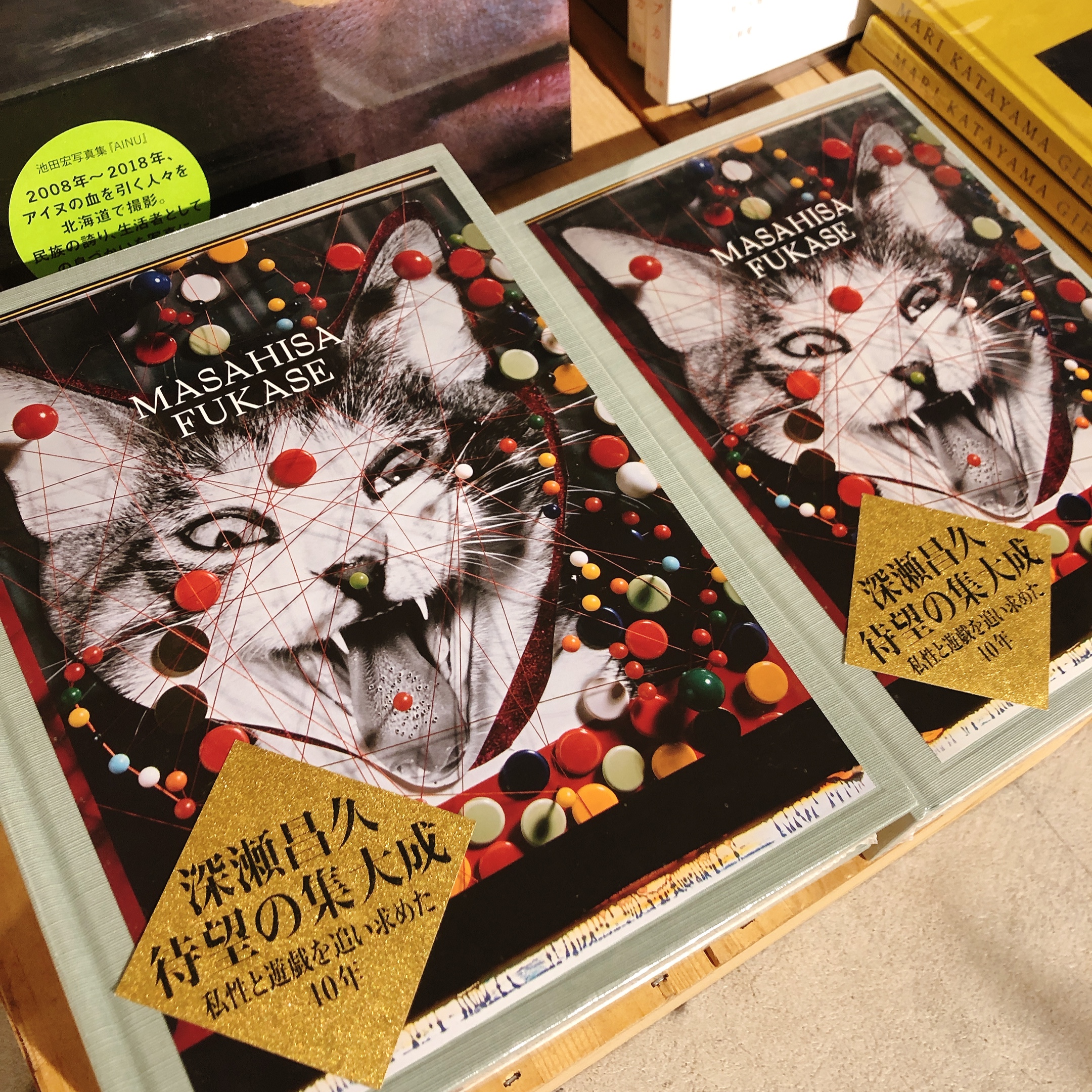 深瀬昌久伝 / 瀬戸正人 | 小宮山書店 KOMIYAMA TOKYO | 神保町