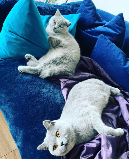 Final few hours for me and the team at Specialist Commercial Joinery and I would like to extend a massive thank you to all our clients, suppliers and staff for managing so well in such a difficult year!

I'm lucky enough to be spending the next few days with my   two girls!