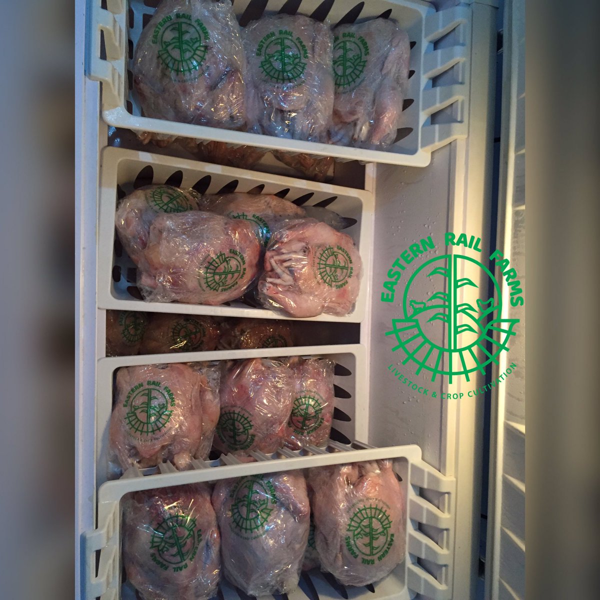 E_RAIL_FARMS's tweet photo. @E_RAIL_FARMS has the best meat for this Christmas season. Contact us on 

☎️: 0553353116 #ShattaTuesdayMarket https://t.co/7ydQfLeDIh