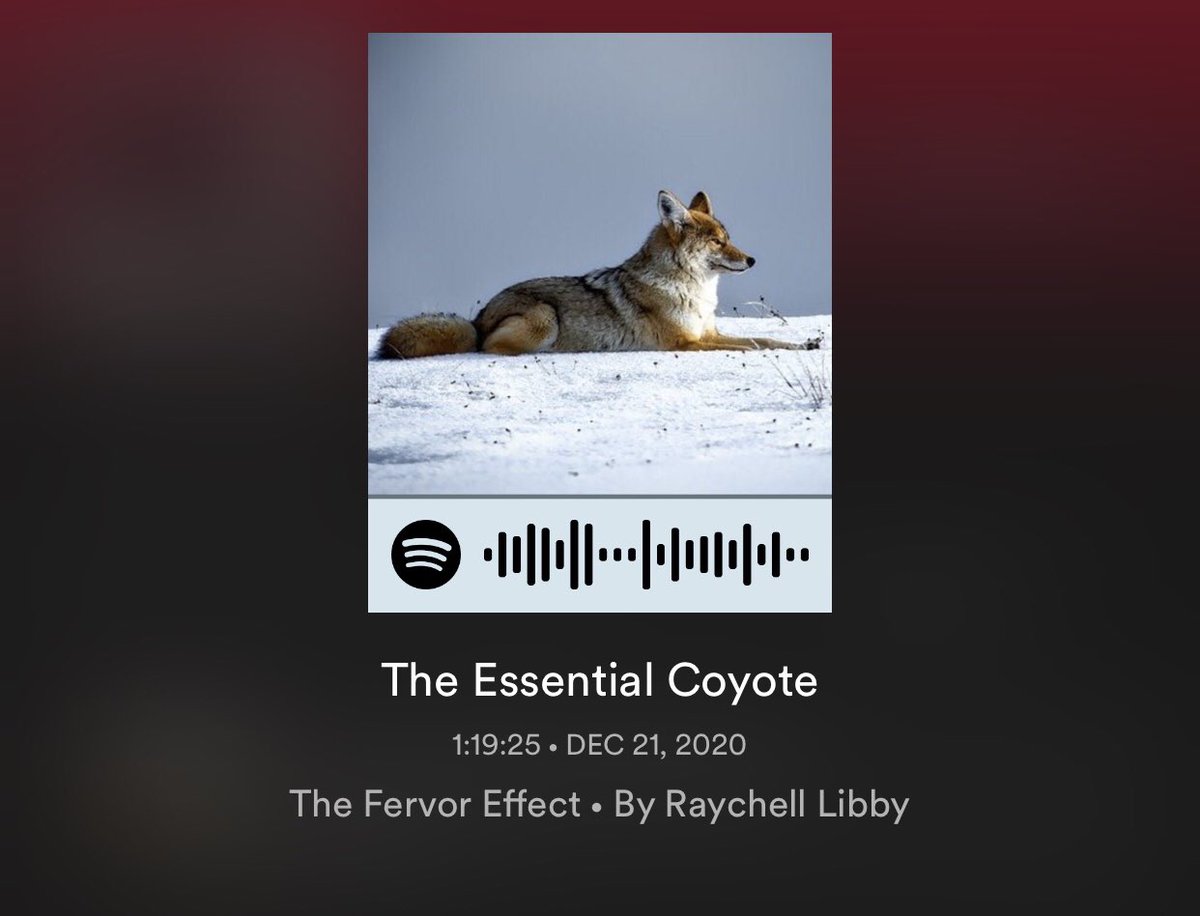 The first podcast episode is up! 🎉
Let us know what you think! 

open.spotify.com/episode/6HWdKV…