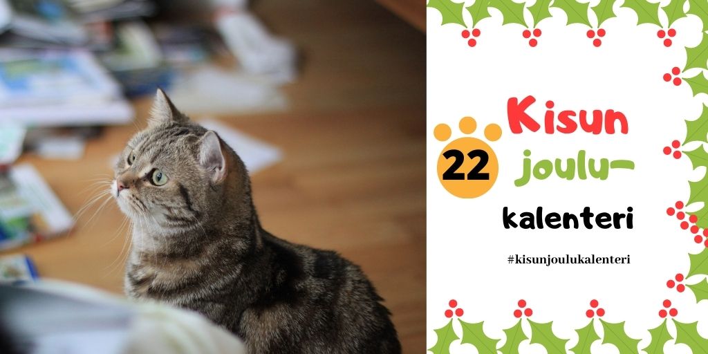 😺 Kisun joulukalenterin 22. luukku 🎄 

Ihmiset usein hössöttävät kaikenlaista kummaa kuten vaikka joulusiivousta. Ei sellaista tarvita. Riittää, että on hyvä mieli ja lämmin nuttu - kuten minulla 😻😺. #kisunjoulukalenteri #kisu_uutiset #kissat #joulukalenteri