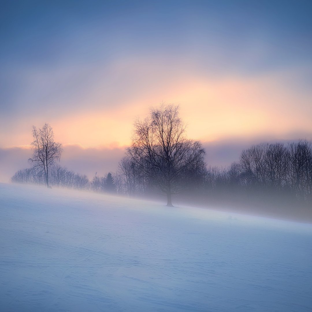 SusieLarson's tweet image. May you celebrate the invisible changes taking place in your soul. When you pray, when you trust, when you love and when you forgive, the soil changes, seeds break open, and eventually life springs forth. Don’t underestimate the power of your obedience in this season.