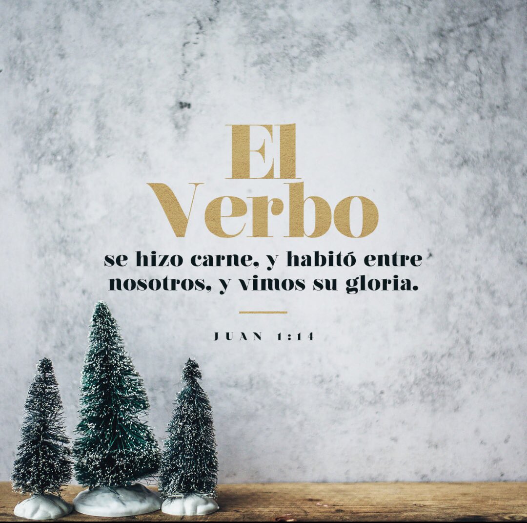 DA_1844's tweet photo. Y aquel Verbo fue hecho carne, y habitó entre nosotros (y vimos su gloria, gloria como del unigénito del Padre), lleno de gracia y de verdad. https://t.co/ed54IWksA5