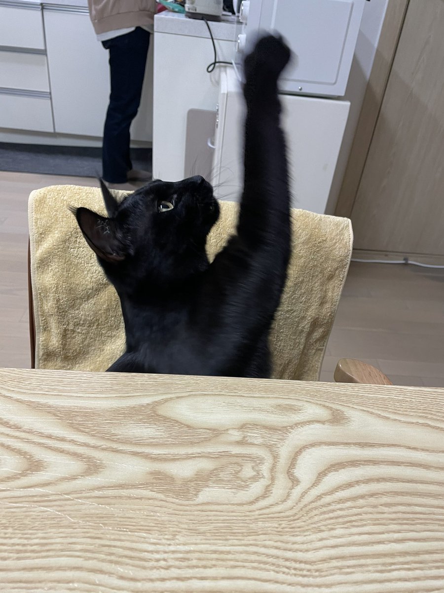 새치 (@koostav) on Twitter photo 