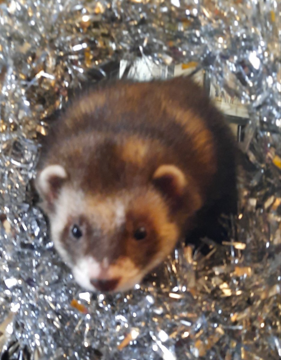 Emma Minns tweet media