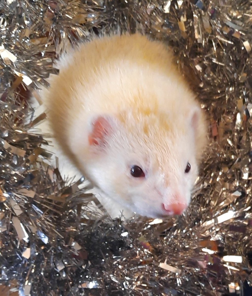 Emma Minns tweet media