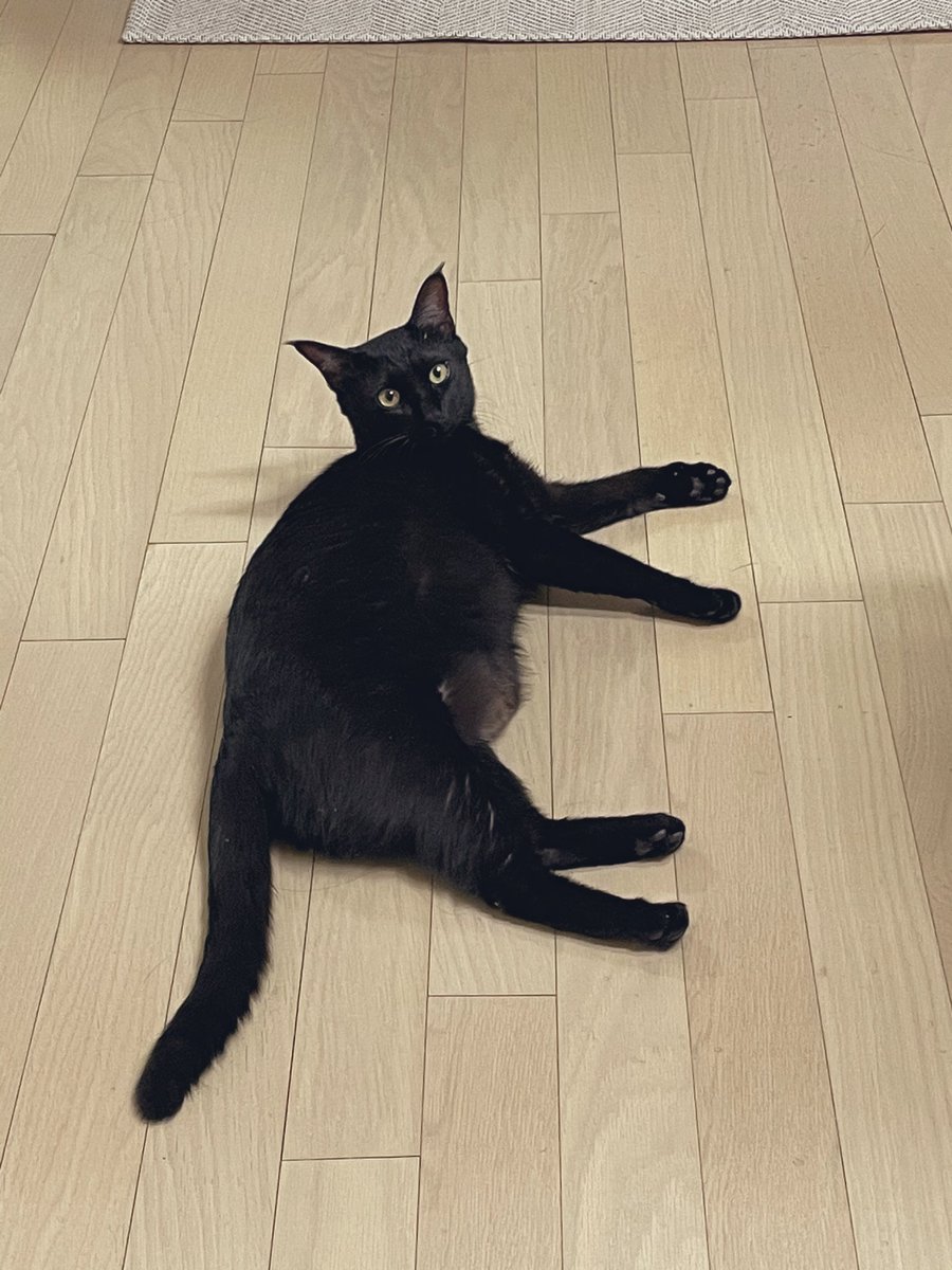 항상 뱃살만 한가득임