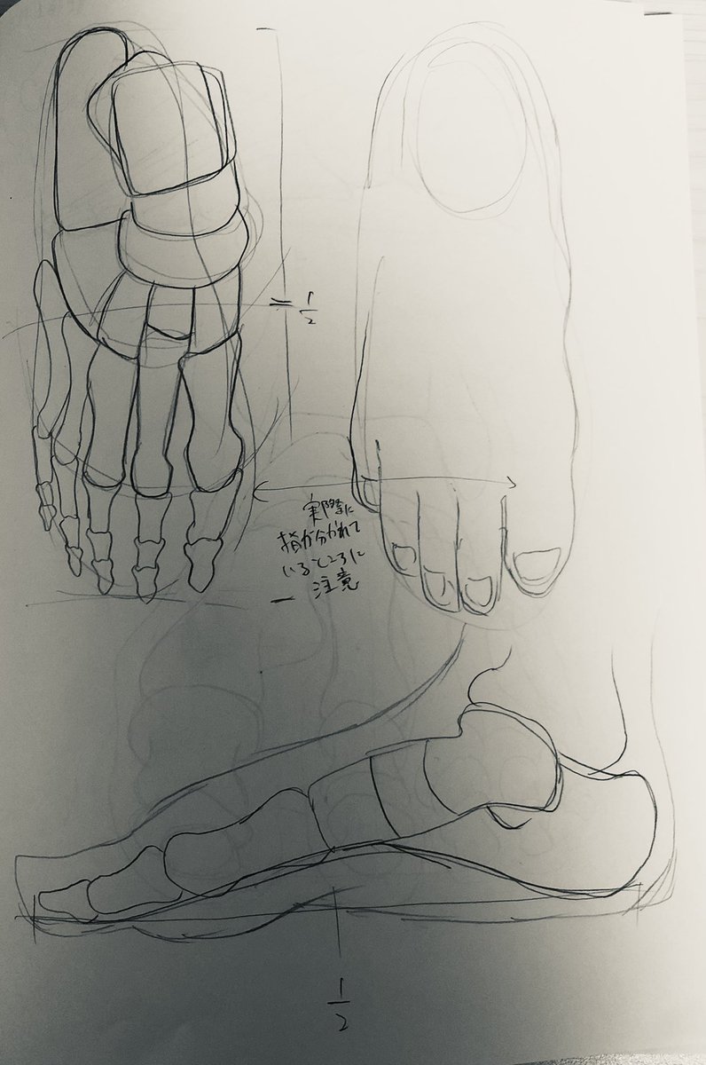 @tos 
#201209Leafst絵の練習 
14日目
足の骨格の話。 