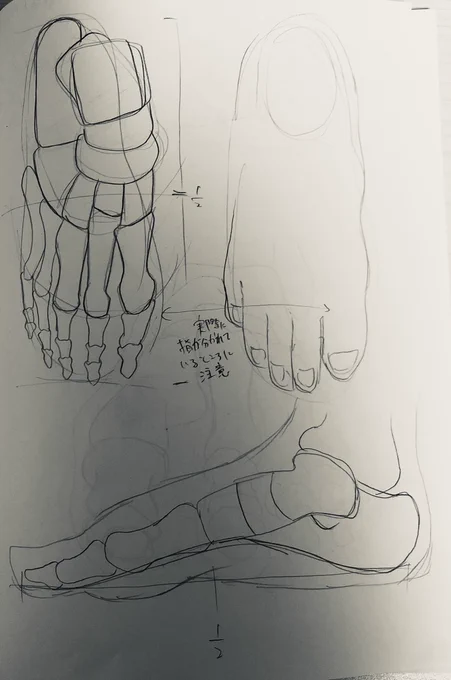 @tos 
#201209Leafst絵の練習 
14日目
足の骨格の話。 