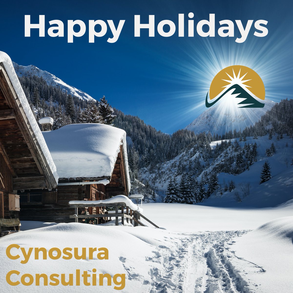 Cynosura Business Coaching tweet media