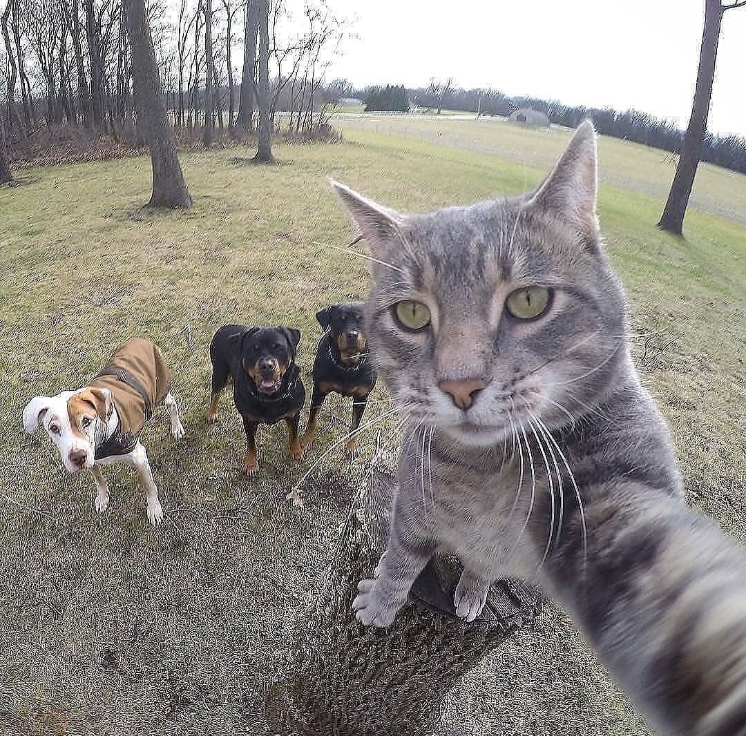 10/10 arkadaşlıklar