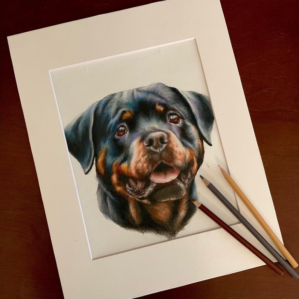 printsforpaws's tweet photo. Rottweiler, colored pencil

#art #petportrait #Rottweiler #dog #DogsofTwittter https://t.co/bPI5iP9LL9