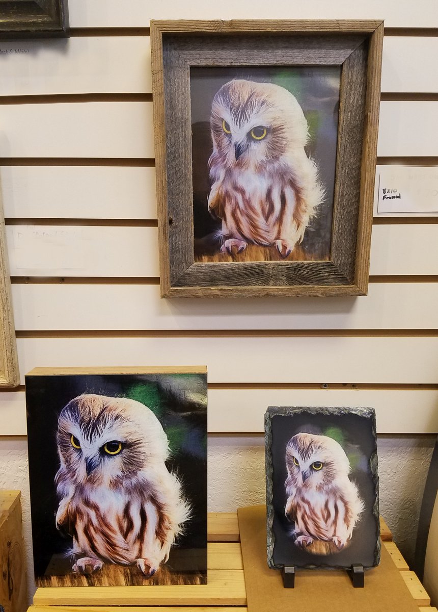 MyEyesPhoto's tweet photo. https://t.co/4oRqcC0bHV is open today 12/22 Tuesday and tomorrow 12/23 until 3pm for your last minute shopping. 🌲 @racinedowntown @realracine @RacineandMe @meghanreistad https://t.co/TcUEN1yb8D