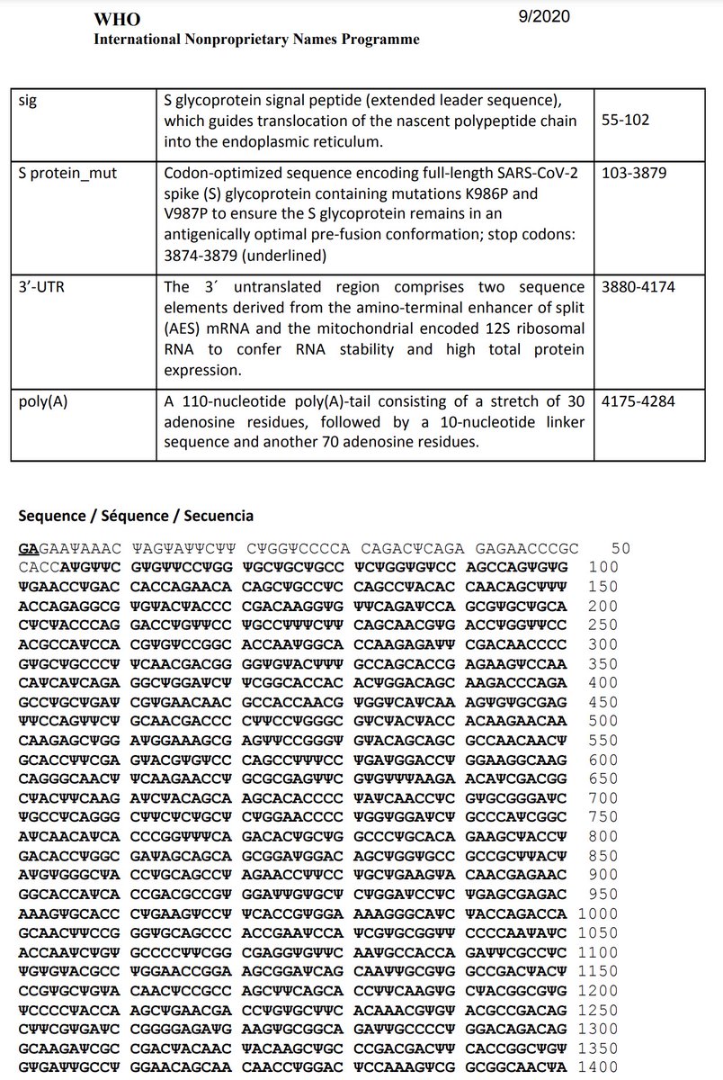 markwbudde's tweet photo. Here is the full sequence of the Pfizer vaccine, courtesy of the WHO. 4284 nucleotide, 1273 amino acids. All U are 1-methyl-3'-pseudouridine. PolyA has strange structure, is broken up with GCAUAUGACU. https://t.co/TC4KFXxGYQ