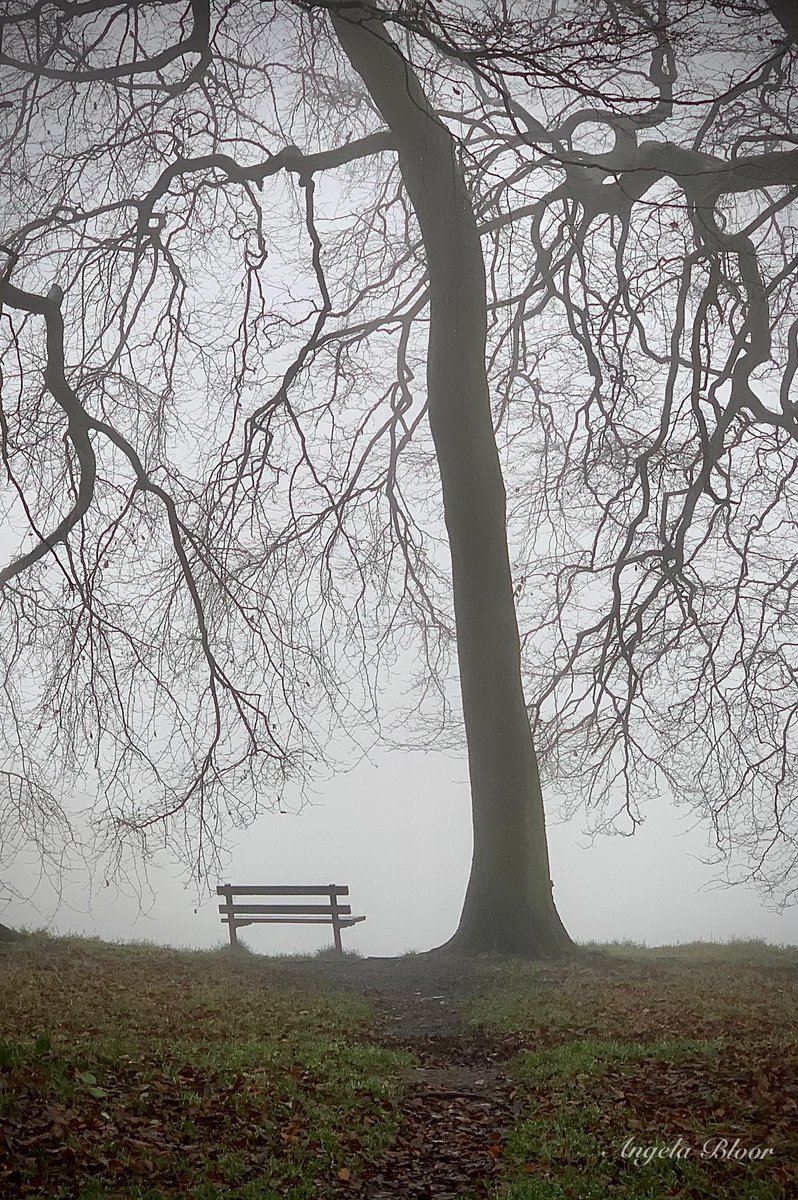 A place to sit and think..💭 #ridgmontpark <a href="/HorwichFirst/">Horwich First</a> <a href="/HorwichGossip/">Horwich Gossip</a> <a href="/AboutHorwich/">about horwich</a> <a href="/HAdvertiser/">Horwich Advertiser</a> <a href="/TheBoltonNews/">The Bolton News</a> <a href="/BBCNWT/">BBC North West</a> <a href="/bbcweather/">BBC Weather</a>