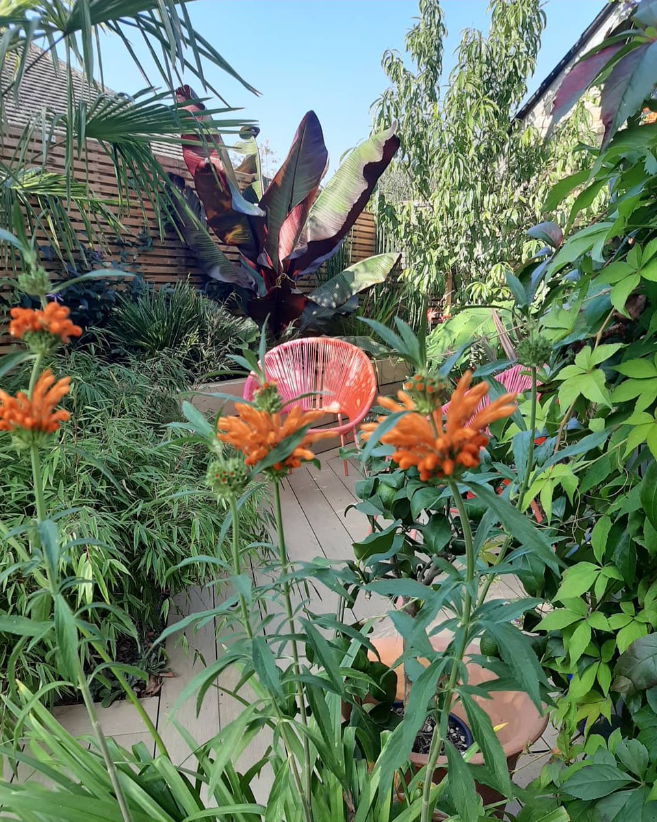 Society of Garden + Landscape Designers® tweet media