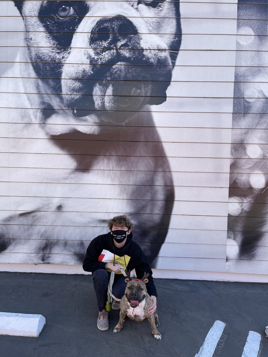 dog_rates's tweet image. This is Buffy. She surprised me when I dropped off the check at @bestfriends yesterday. In total, you all helped us raise over $100,000 by sharing your festive pups. 14/10 for all of you. Thanks again to @Trupanion for making this pawsible